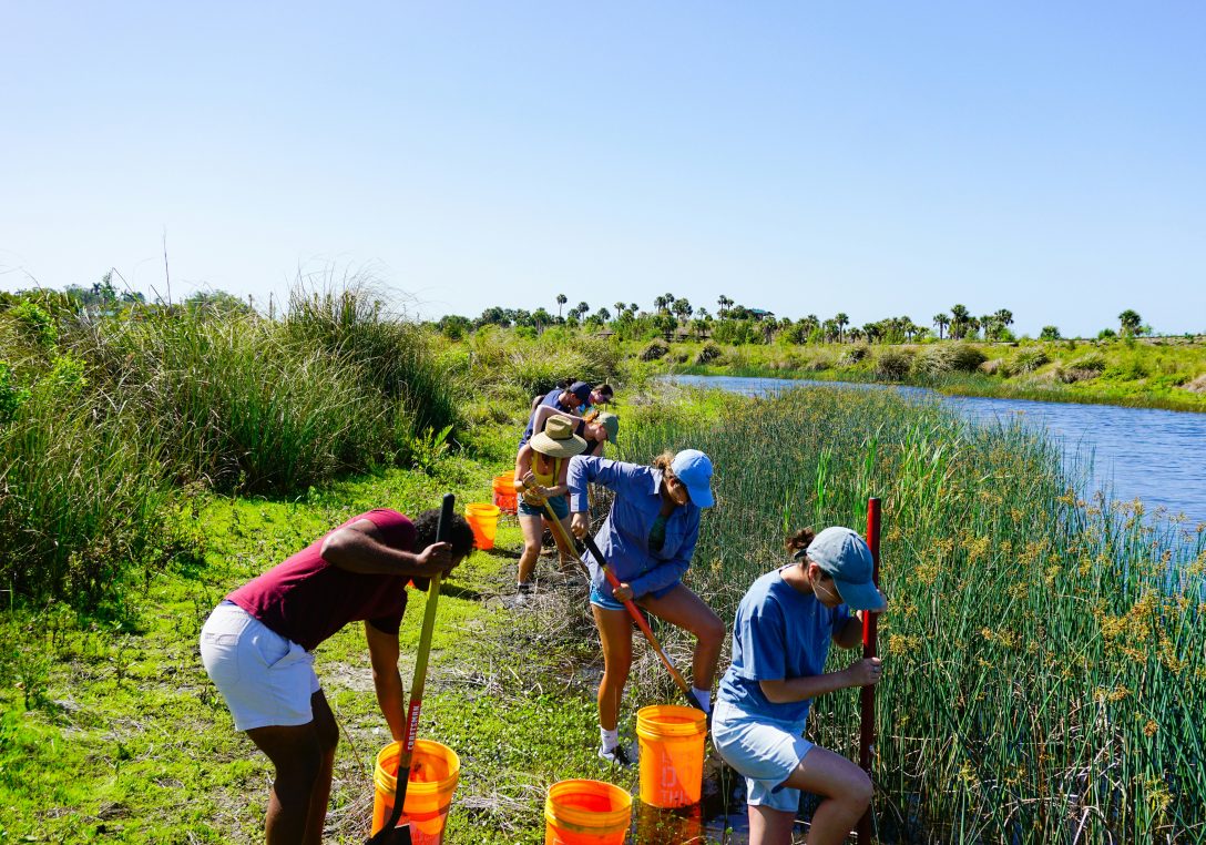 Group of six people digging and collecting samples with shovels into orange buckets along a grassy marsh bank beside a narrow river under clear blue sky.